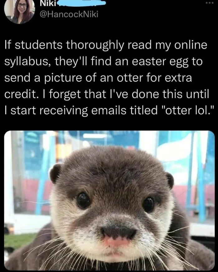 "The Good News Movement": 50 Of The Most Wholesome Posts From This Instagram Account