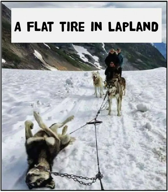200k People Are Loving This Funny Instagram Page That Shares “Very Finnish Problems” (50 New Pics)