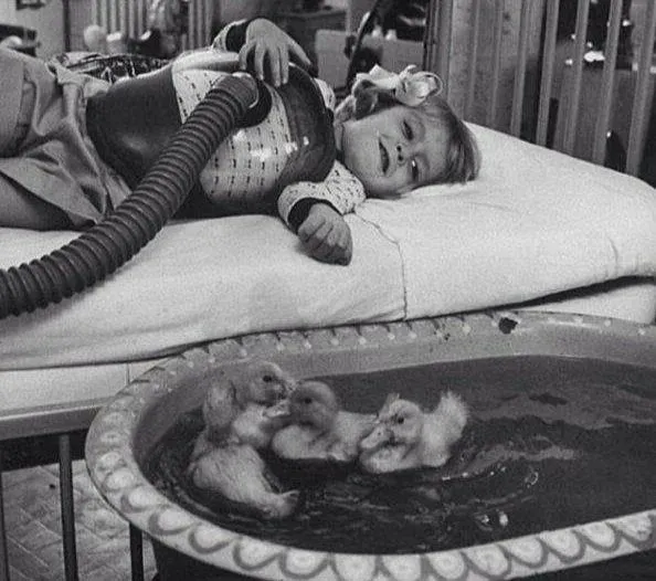 Utilización de patitos como parte de una terapia médica en 1956
