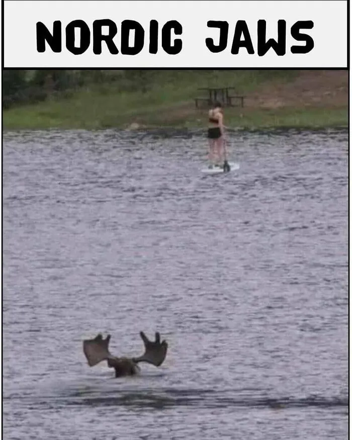 200k People Are Loving This Funny Instagram Page That Shares “Very Finnish Problems” (50 New Pics)