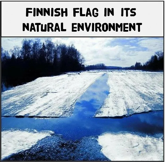 200k People Are Loving This Funny Instagram Page That Shares “Very Finnish Problems” (50 New Pics)