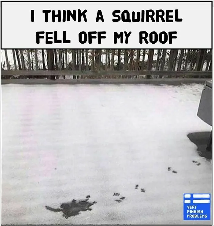 200k People Are Loving This Funny Instagram Page That Shares “Very Finnish Problems” (50 New Pics)