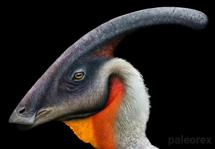 Parasaurolophus
