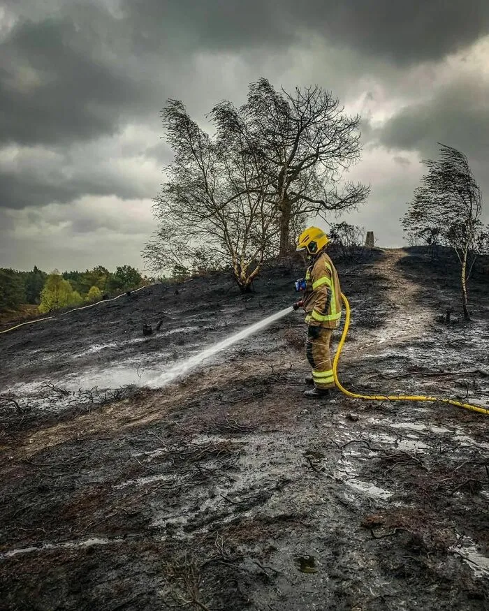 El tiempo cálido y seco que se espera para esta semana, ha llevado a la emisión de una alerta ámbar de incendios forestales para el área del Servicio de Incendios y Rescate de Dorset y Wiltshire.
