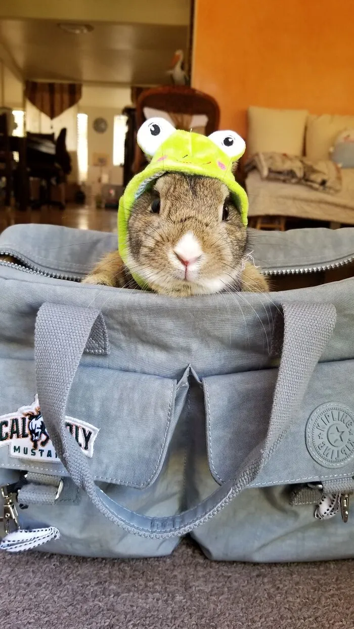 If You Kiss Me, I’ll Turn Into A Prince!