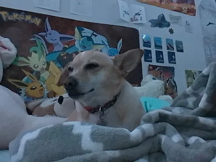 He Sleepy, I Woke Him Up 
