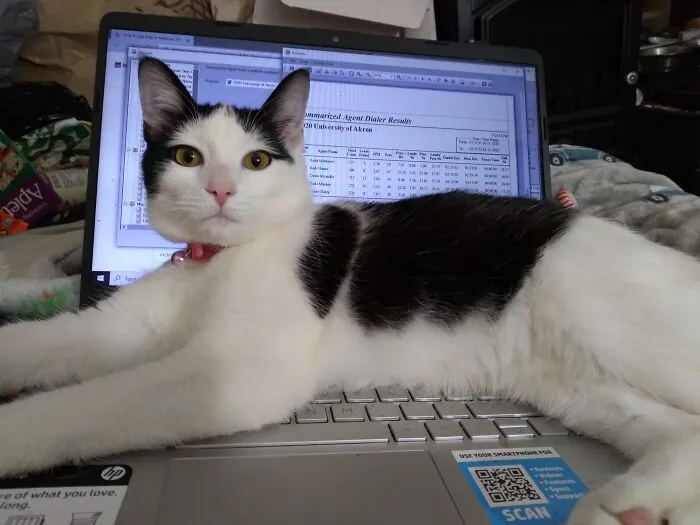 Sugah Says Work Time Is Over Now!!!