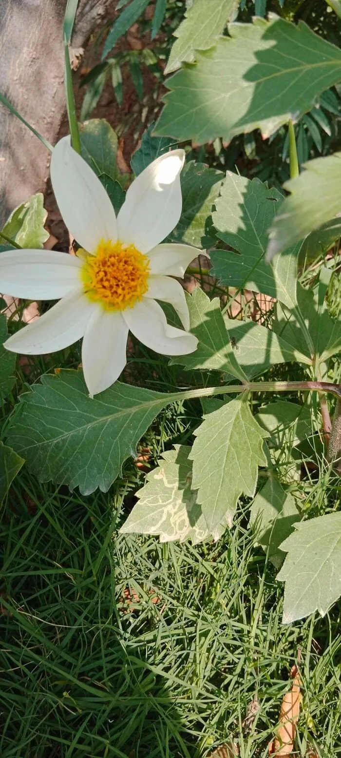 18 Pics Taken From My Home Garden To Support Gardening And Its Positive Effects On Health
