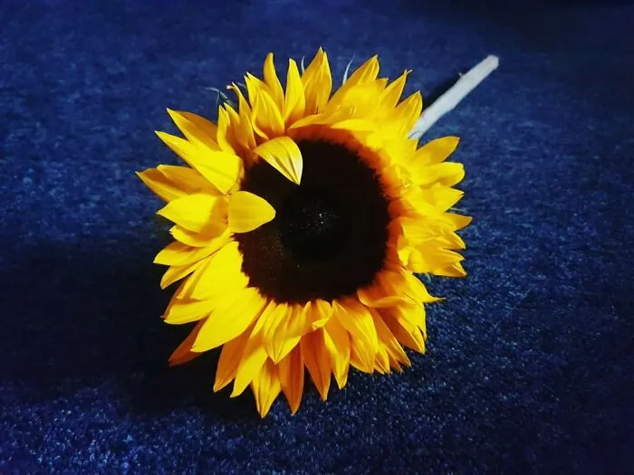 A Ray Of Hope