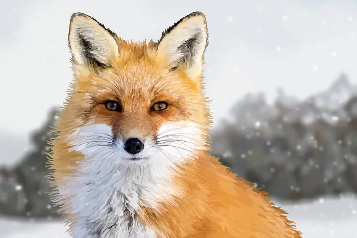Animals, Wildlife And Nature Illustrations (9 Pics)