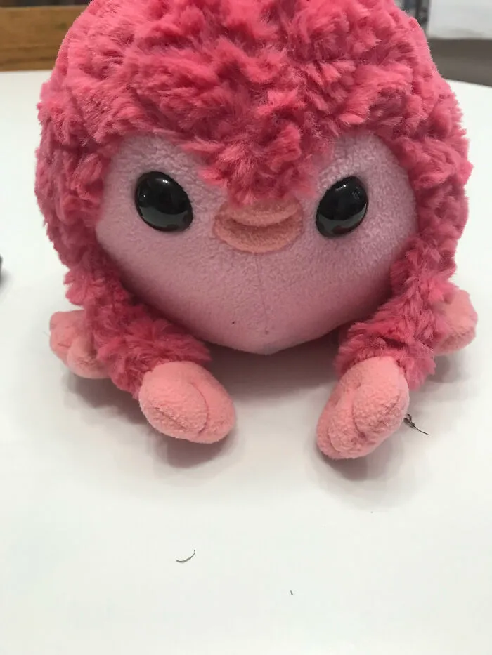 My Pangolin
