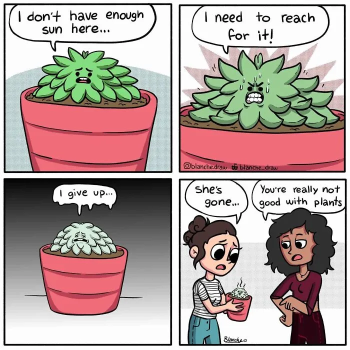 41 Funny Comics About Random Happenings In Life With Unexpected Twists By A Canadian Artist