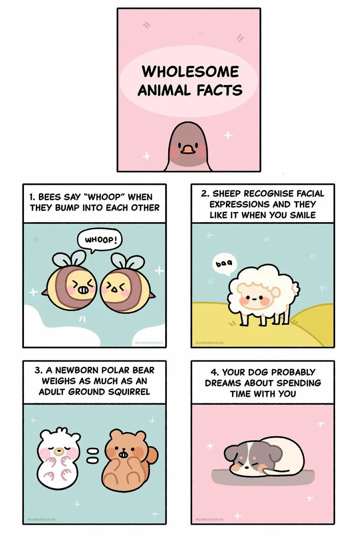 I Create Comics About Everyday Life Situations That People Can Relate To (35 New Pics)