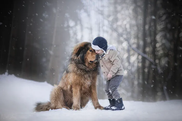 I Love Capturing The Joyful Souls Of Dogs Through My Photography (62 Pics)
