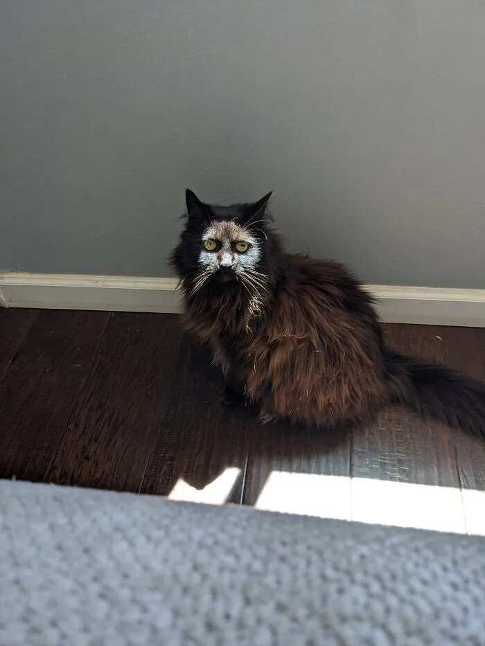 Cara de fantasma