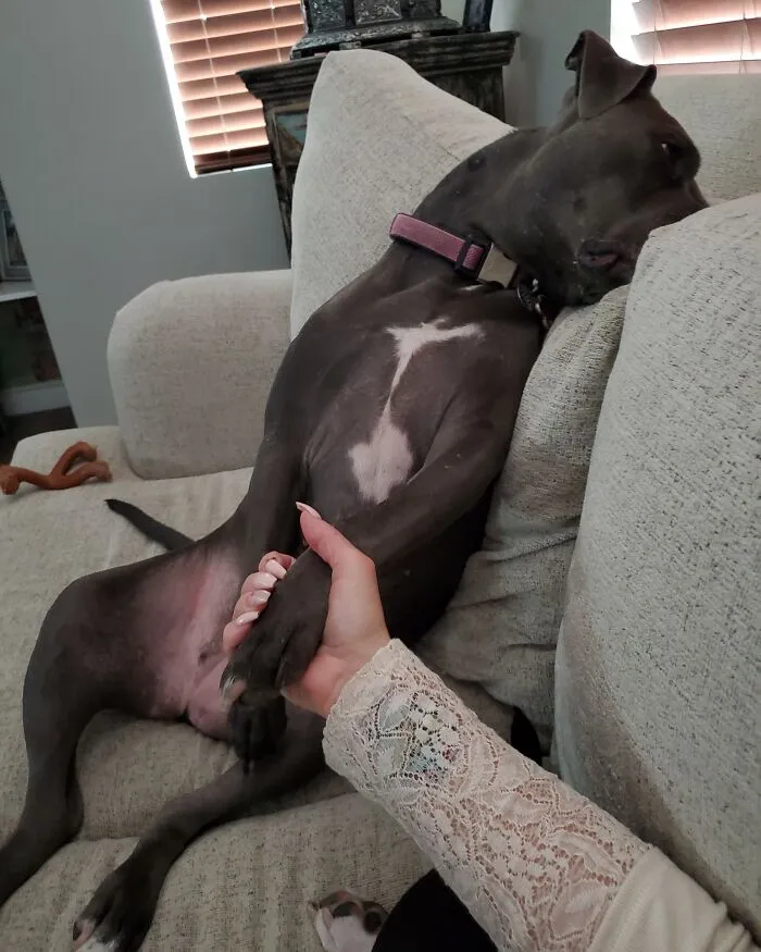 Fiona's Just A Tiny Bit Melodramatic
