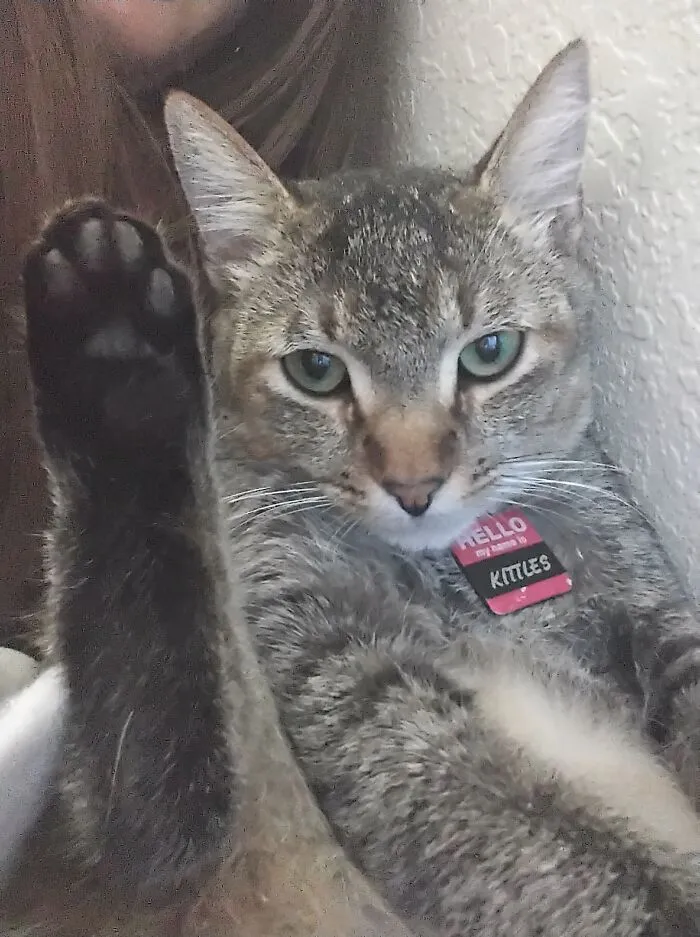 What, Just Chillin