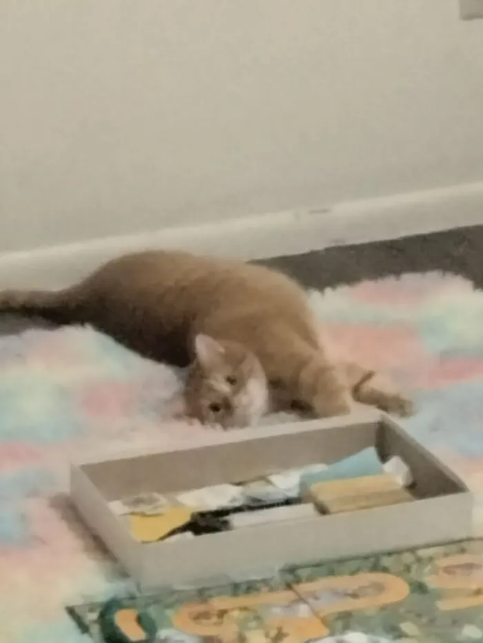 I Tried To Sneak Up On Her But She Heard Me And Attacked Me After This