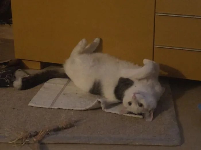 Always Does Weird Things That Make Me Smile. He's A Little Idiot But I Love Him To Bits.