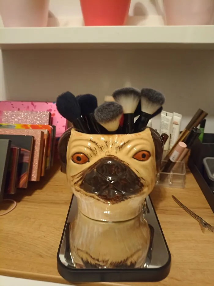 It's Cricked, But I Just Love It's Eyes 😂