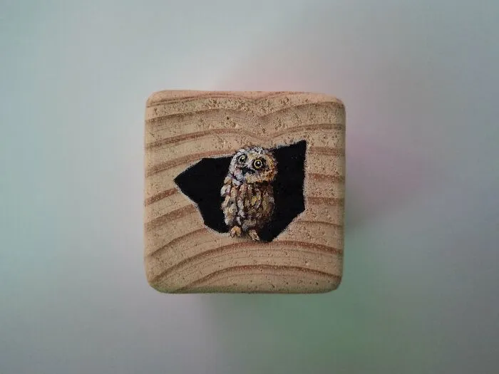 I Paint Animals On Wooden Cubes (12 Pics)