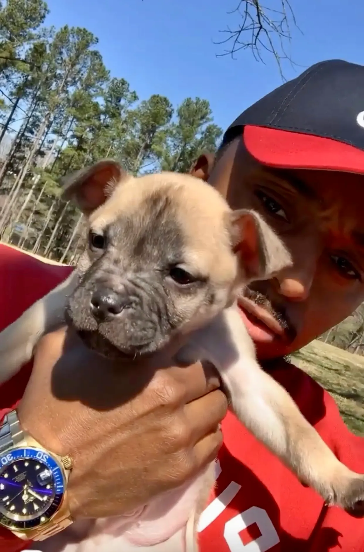 I Fell In Love With Antoine Morgan's Furry Friend, Meet Draco