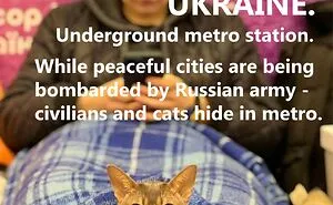 Russia Is Invading Ukraine.