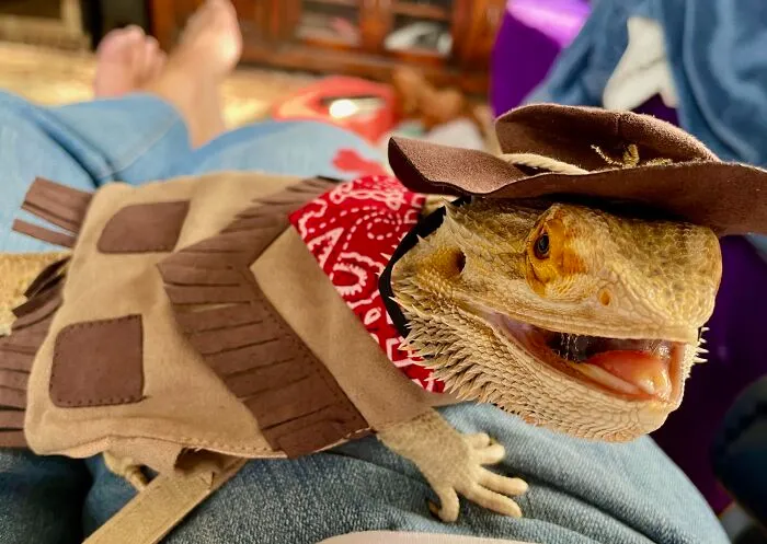 Maxine Is Ready For Halloween