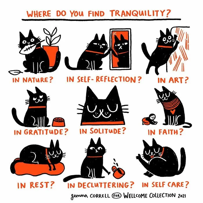 Meet Gemma Correll's Fun Comics