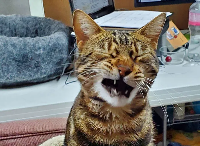 Arrrghhh