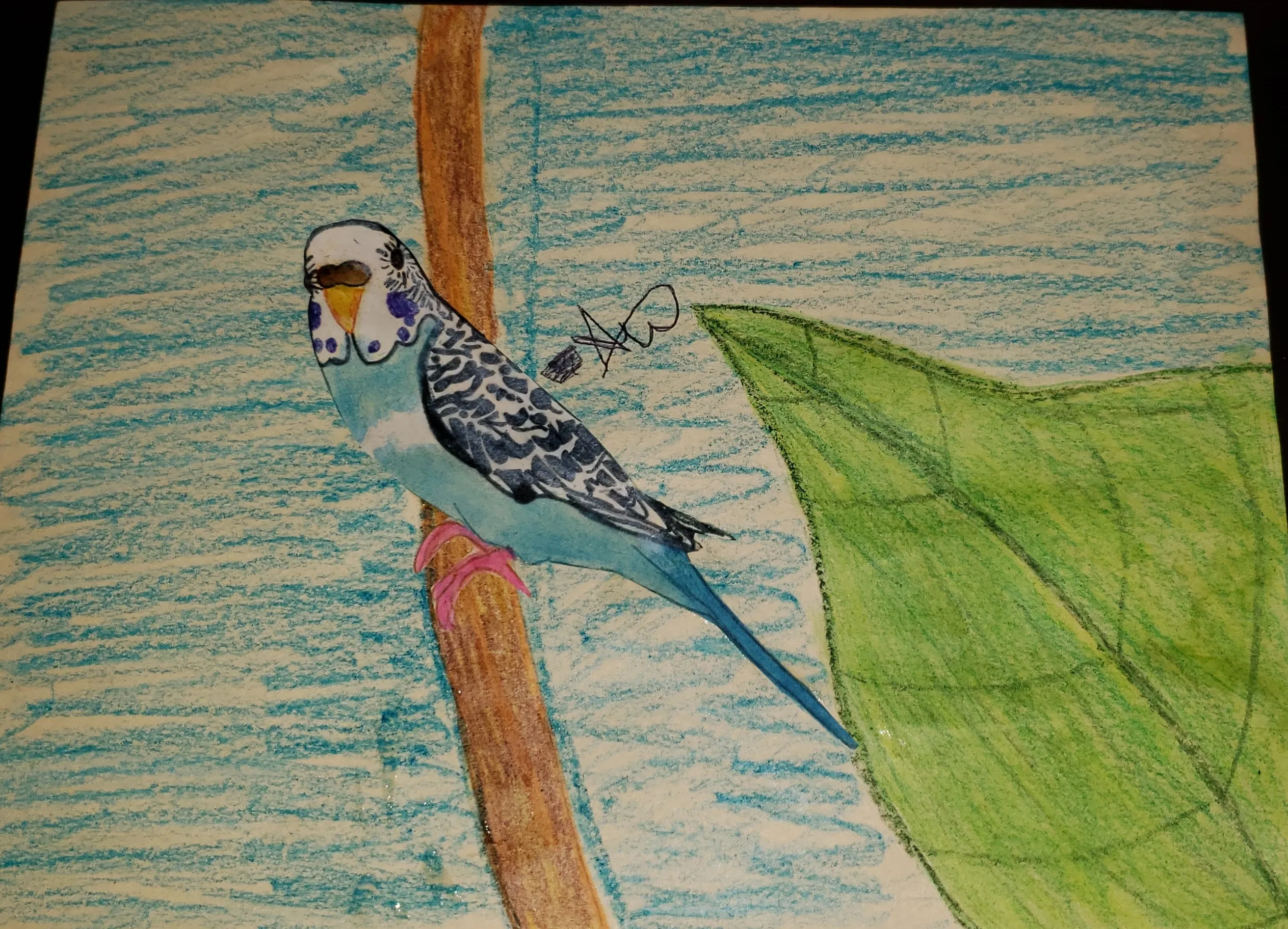Nature Drawing Challenge