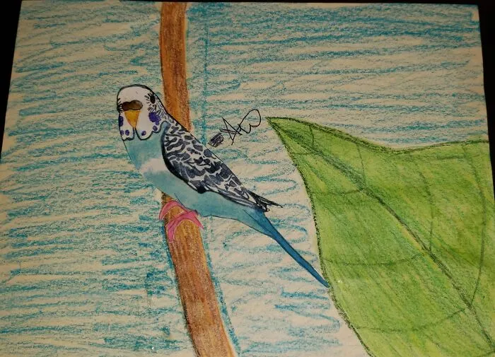 One Of My Parakeets Federline