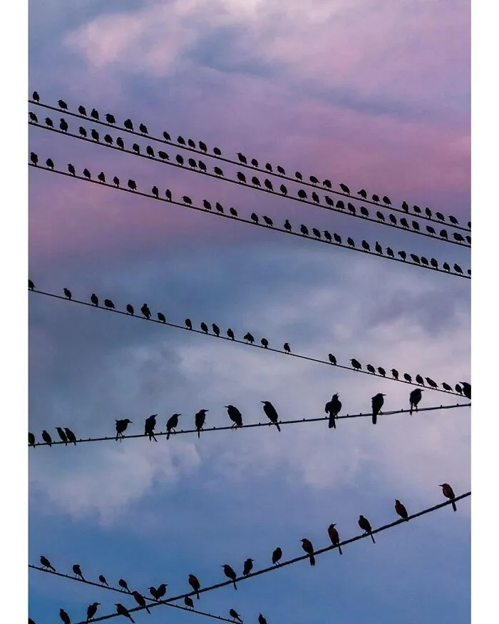 This Reddit Group Is All About Sharing Photos That Amateurs Took, And They Show Just How Good Casual Photographers Are (108 Pics)