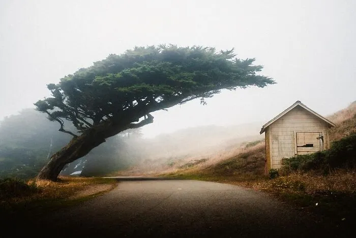 This Reddit Group Is All About Sharing Photos That Amateurs Took, And They Show Just How Good Casual Photographers Are (108 Pics)