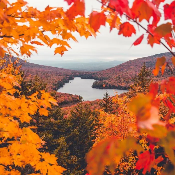 This Reddit Group Is All About Sharing Photos That Amateurs Took, And They Show Just How Good Casual Photographers Are (108 Pics)