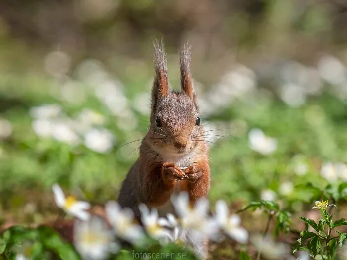 Stop And Smell The Flowers