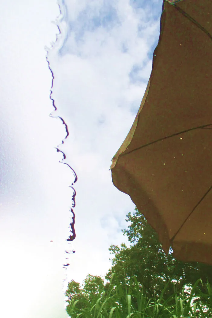 Reflection On A Wet Table
