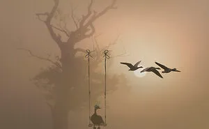 I Create New Worlds From Photos I Have Taken Myself (13 Pics)