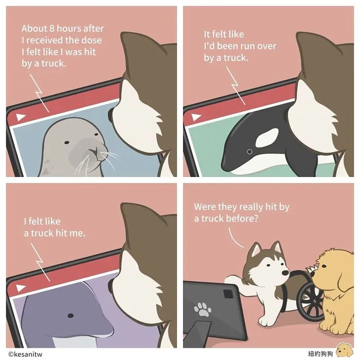 Artist Illustrates Animal Life, Shows What These Little Cute Beings Are Really Like (26 New Comics)