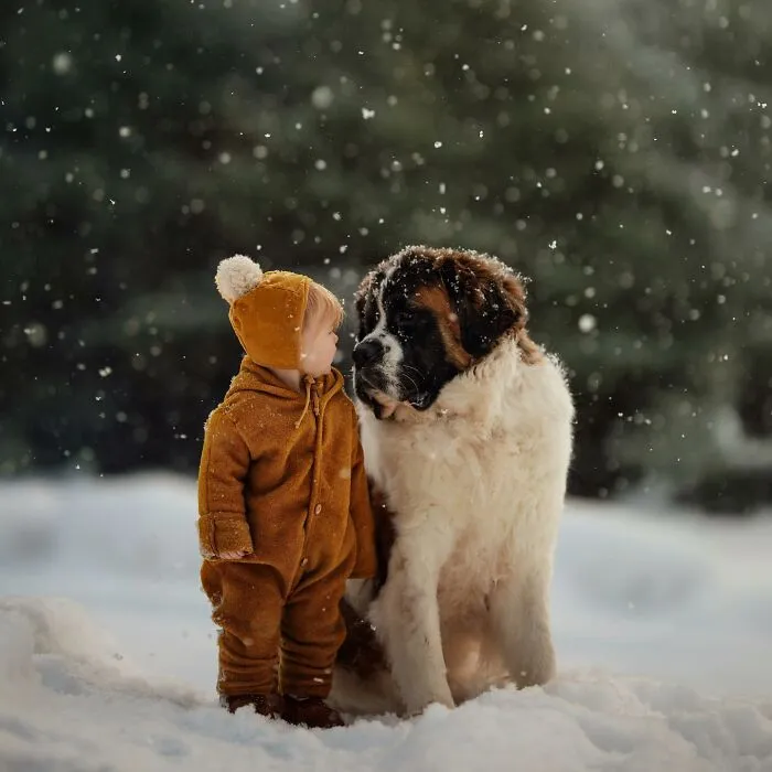 This Mom Photographer Takes Magical Photos Of Her Family, And They Might Just Brighten Your Day (80 Pics)