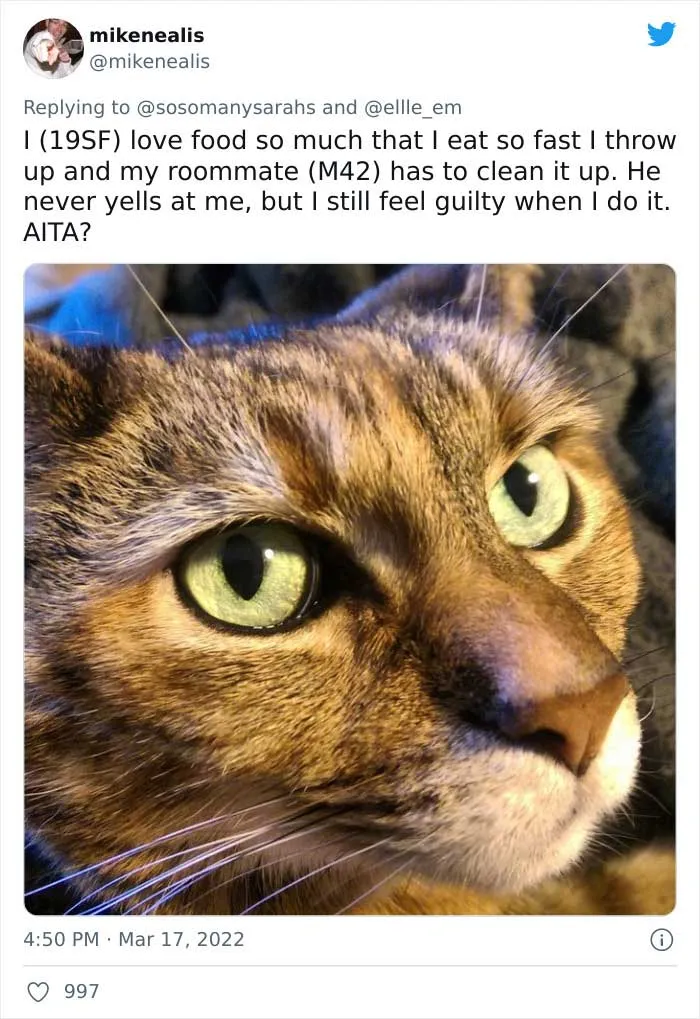 35 AITA Posts That Are Funny Because They Are Written From A Cat’s Perspective, Shared In This Twitter Thread