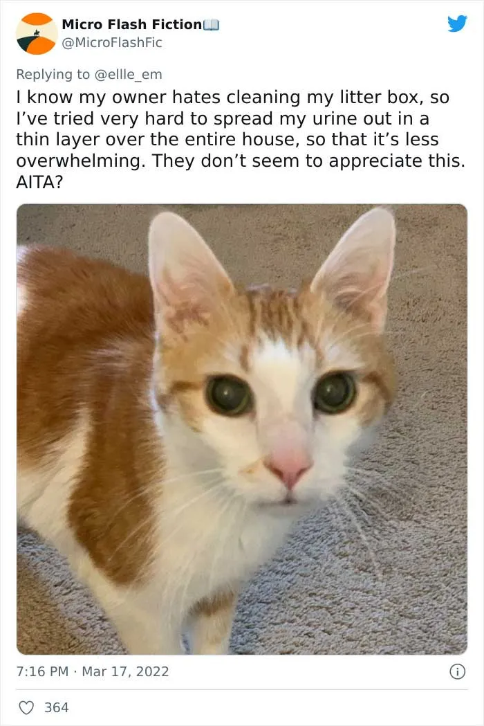 35 AITA Posts That Are Funny Because They Are Written From A Cat’s Perspective, Shared In This Twitter Thread