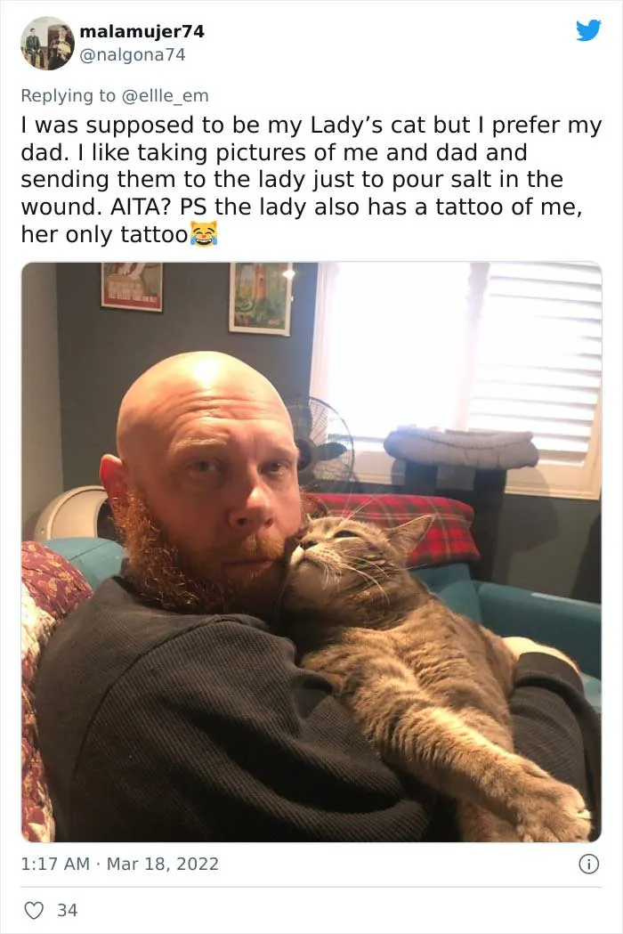 35 AITA Posts That Are Funny Because They Are Written From A Cat’s Perspective, Shared In This Twitter Thread