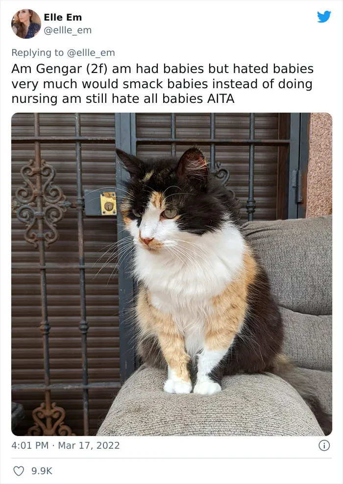 35 AITA Posts That Are Funny Because They Are Written From A Cat’s Perspective, Shared In This Twitter Thread