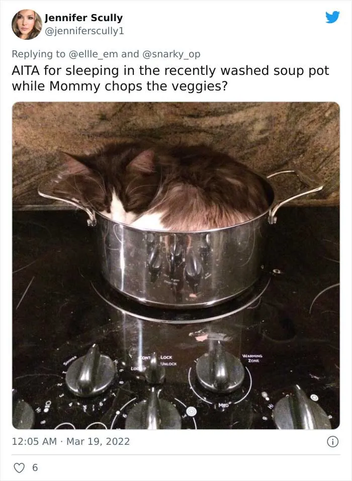35 AITA Posts That Are Funny Because They Are Written From A Cat’s Perspective, Shared In This Twitter Thread