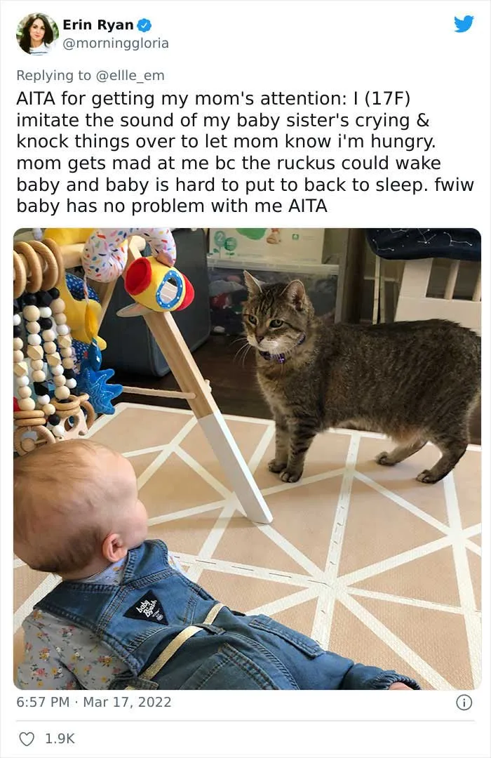 35 AITA Posts That Are Funny Because They Are Written From A Cat’s Perspective, Shared In This Twitter Thread