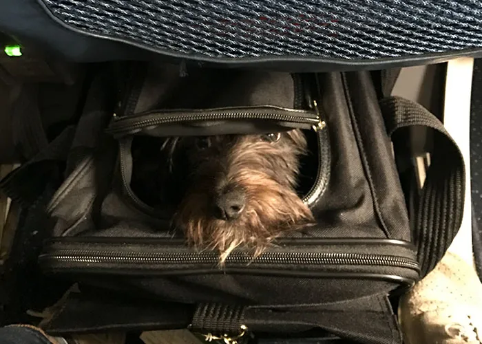 People Who Work In The Airline Industry Share 30 Things Everyone Should Know About Flying