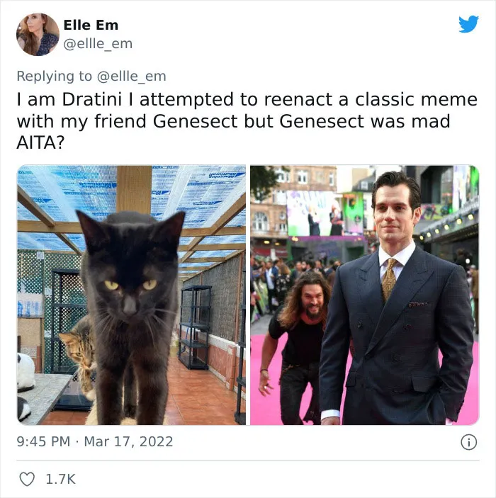 35 AITA Posts That Are Funny Because They Are Written From A Cat’s Perspective, Shared In This Twitter Thread