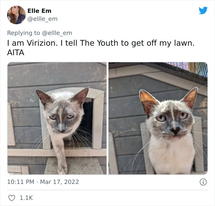 35 AITA Posts That Are Funny Because They Are Written From A Cat’s Perspective, Shared In This Twitter Thread