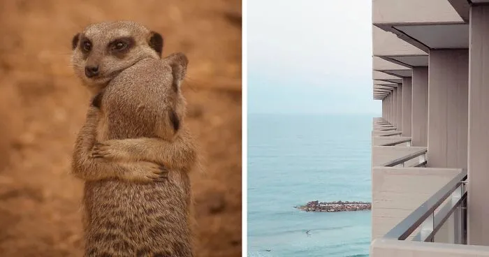 This Reddit Group Is All About Sharing Photos That Amateurs Took, And They Show Just How Good Casual Photographers Are (108 Pics)